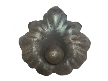 квітка ефіопська калла