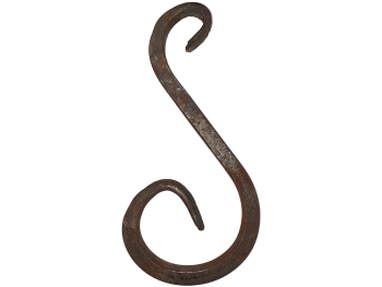 валютка нерівнобічна